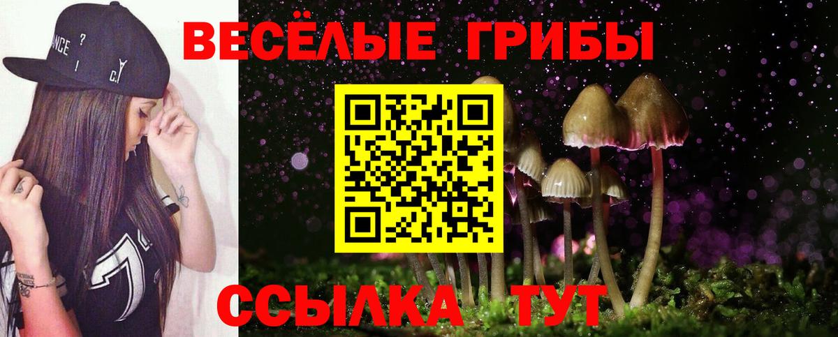 Городец  Псилоцибиновые грибы GOLDEN TEACHER  Галлюциногенные грибы ЛСД  даркнет сайт  Вход с VPN 